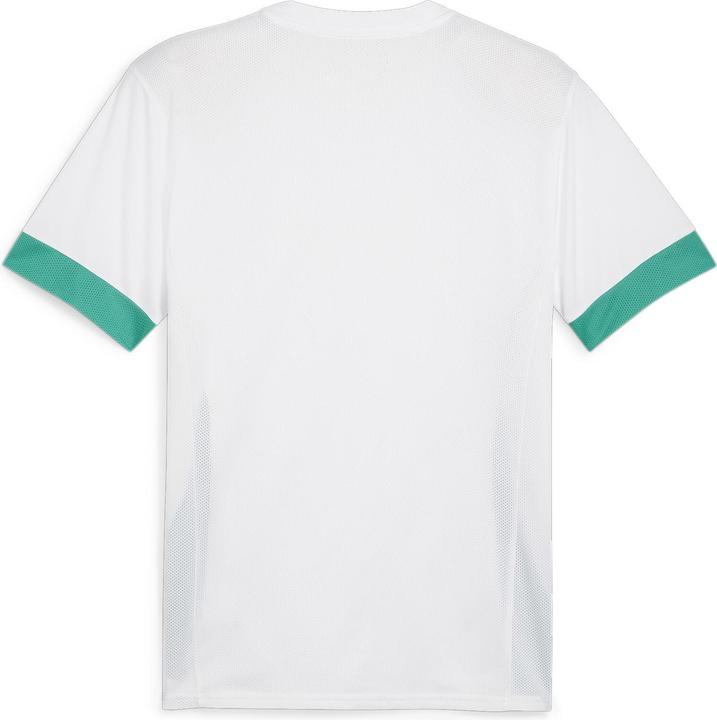 Actual product image Puma teamGOAL Matchday Jersey (L)