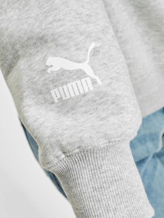 Image du produit Puma Équipe Relaxed Crew FL (L)