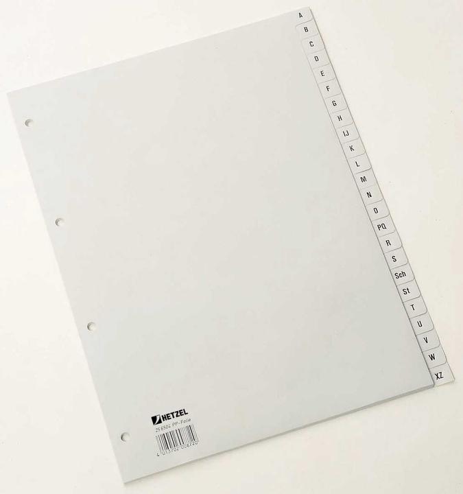 Actual product image Rexel Plastic register for A4