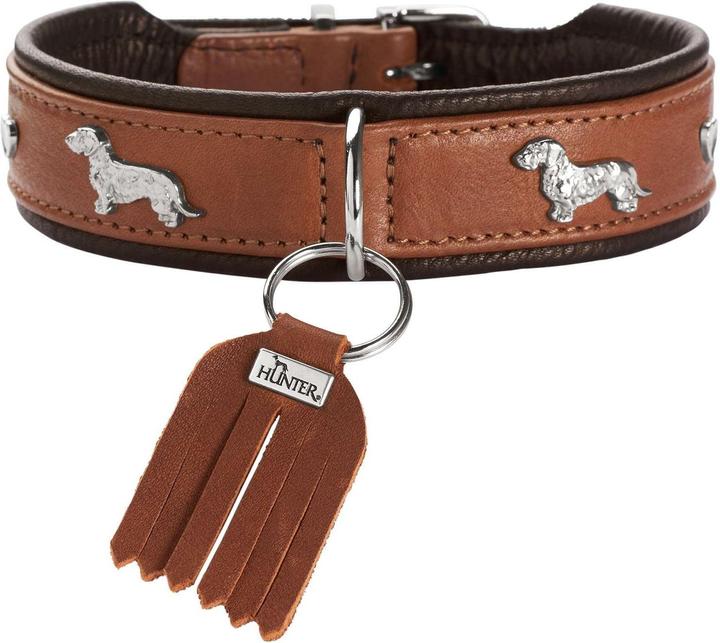 Actual product image Hunter Dachshund collar Munich 37/XS-S, cowhide leather (37, Dog, General)