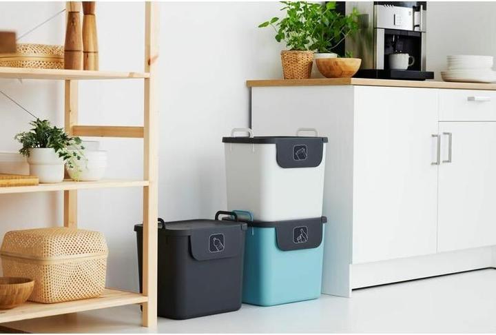 Actual product image Rotho 1039199998WS (90 l)