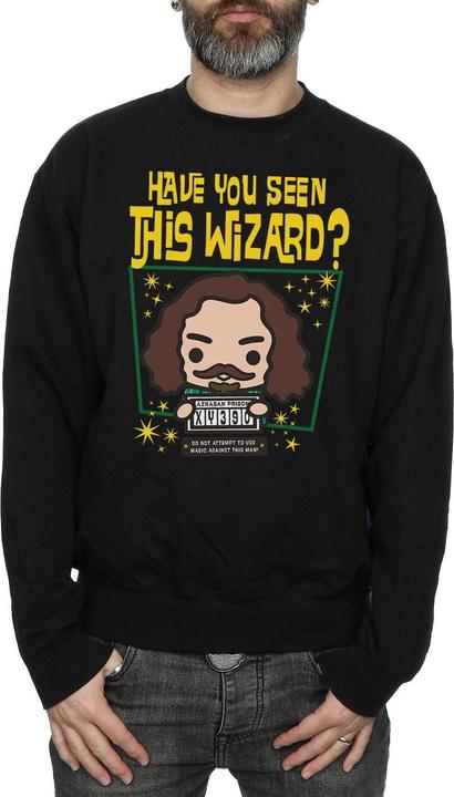 Produktbild Sirius Black Azkaban Junior Sweatshirt (M)