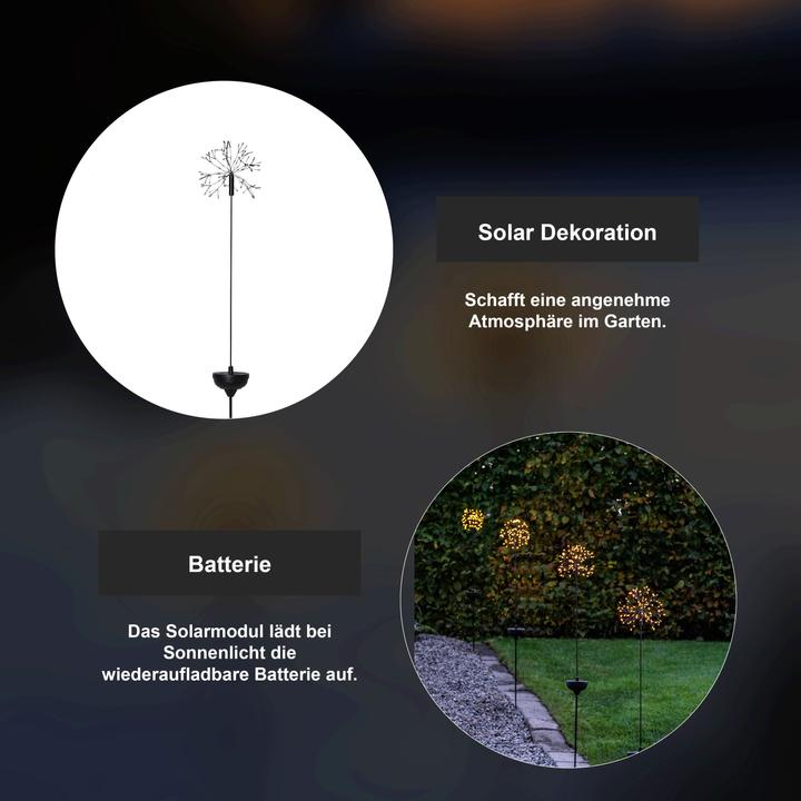 Produktbild Star Trading Solar Dekoration Firework Solar (IP44)