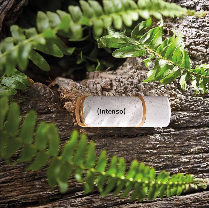 Immagine prodotto Intenso Green Line (64 GB, USB-A)