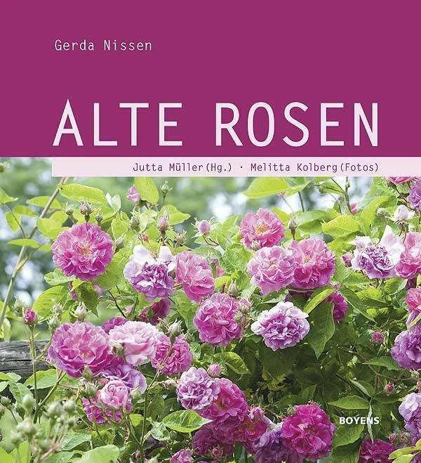 Immagine prodotto Alte Rosen (Tedesco, Gerda Nissen, Melitta Kolberg, Jutta Müller, 2011)