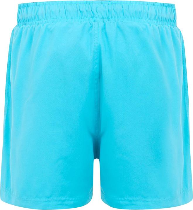 Actual product image Regatta Mens Mawson II Swim Shorts (XL)