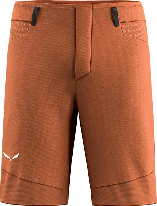 Actual product image Salewa Agner Durastretch Shorts (M)