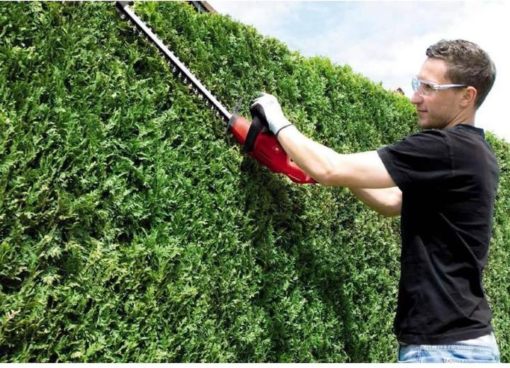 Image du produit Einhell GC-EH 4550 (Taille-haie électrique)