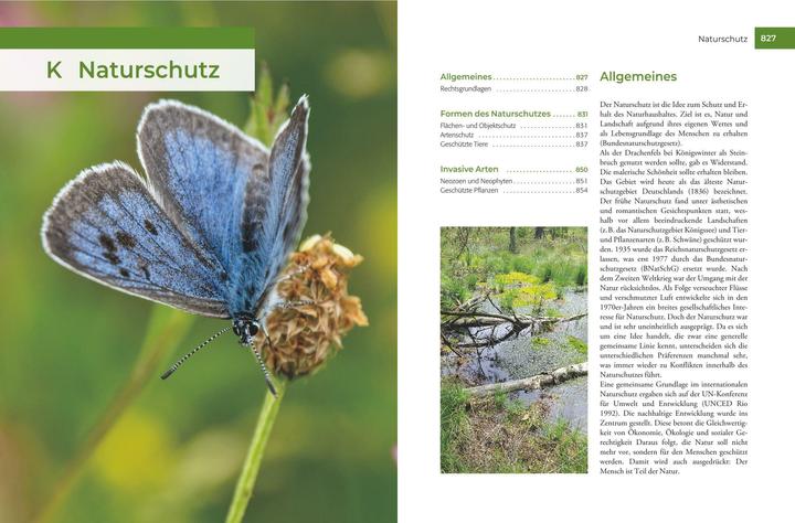 Actual product image Vor und nach der Jägerprüfung (German, Herbert Krebs, 2024)