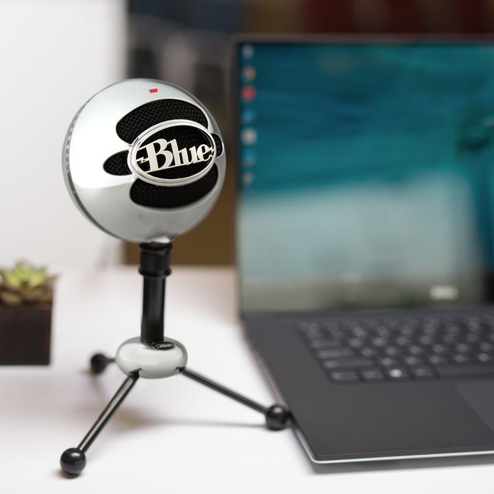 Actual product image Blue Snowball