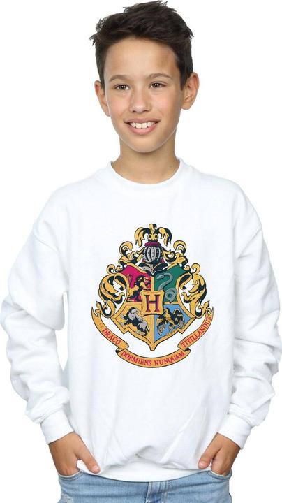 Image du produit - Sweat HOGWARTS CREST GOLD INK - Garçon (140, 146)