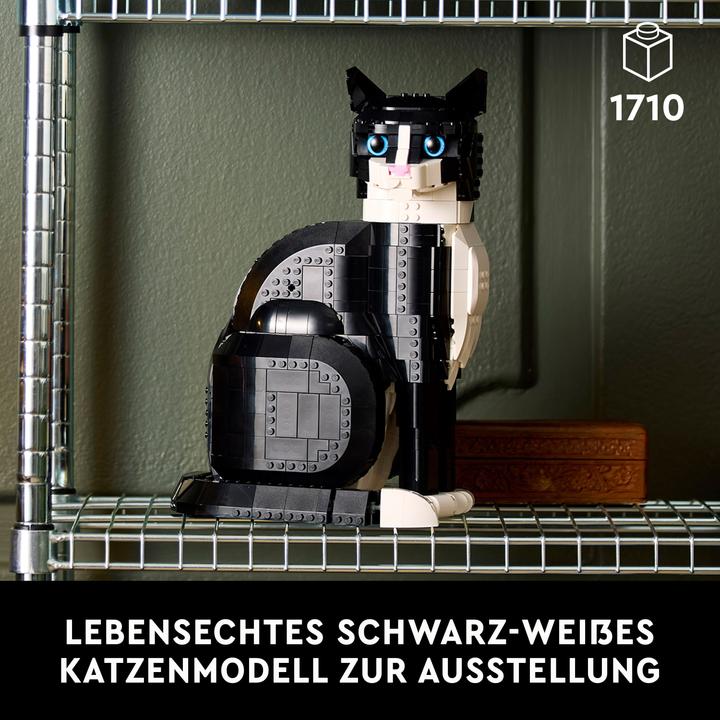 Productafbeelding LEGO Vertrouwelijk (21349, LEGO Ideeën, LEGO Zeldzame Sets)