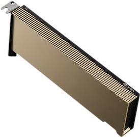 Actual product image NVIDIA A2 - GPU processor - A2 Tensor Core - 16 GB GDDR6 - PCIe 4.0 x8 Low-Profile - oh (16 GB)