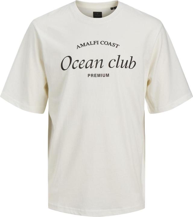 Produktbild Jack & Jones Gedruckt Rundhals T-shirt T-shirt (S)