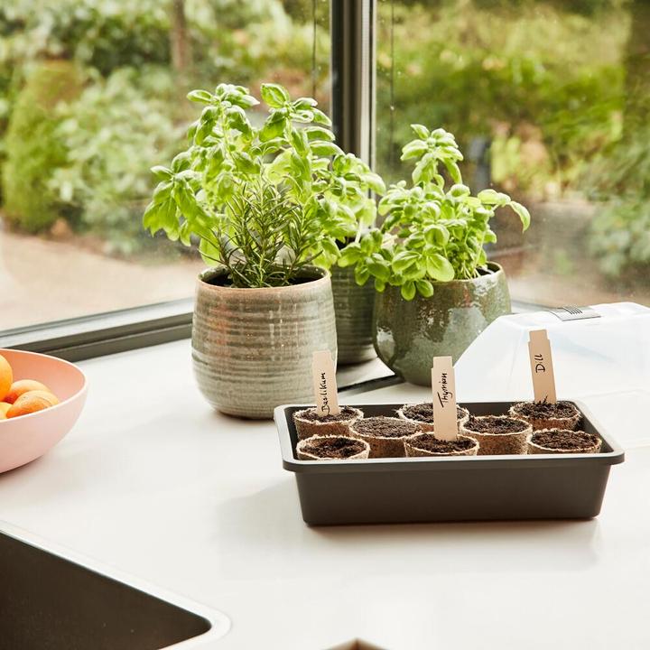 Actual product image Siena Garden hatchery