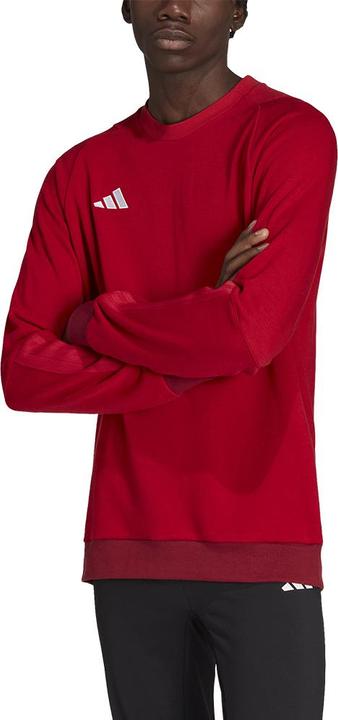 Actual product image adidas Men's blouse Tiro 23 competition crew red HI4709 (XL) (XL)