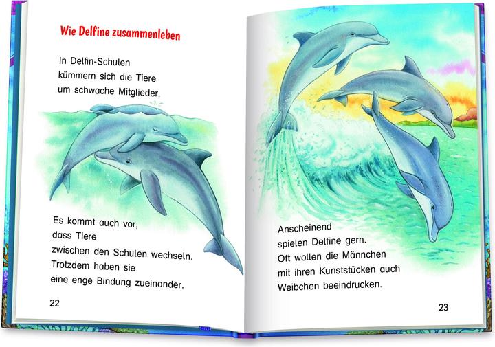 Produktbild Die Delfine (Deutsch, Friederun Reichenstetter, Hans-Günther Döring, 2022)