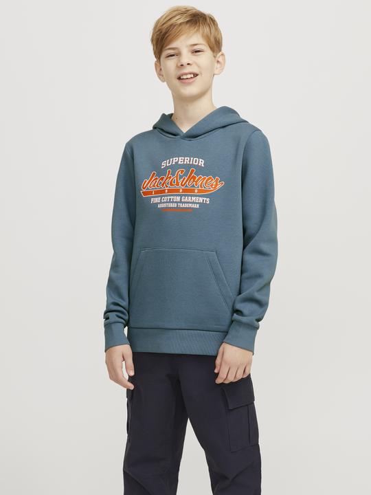 Produktbild Jack & Jones JJELOGO SWEAT HOOD 2 COL 24/25 NOOS JNR (128)
