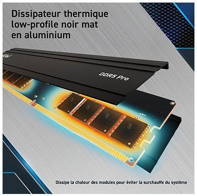 Image du produit Crucial Pro (1 x 24 Go, 5600 MHz, RAM DDR5, U-DIMM)
