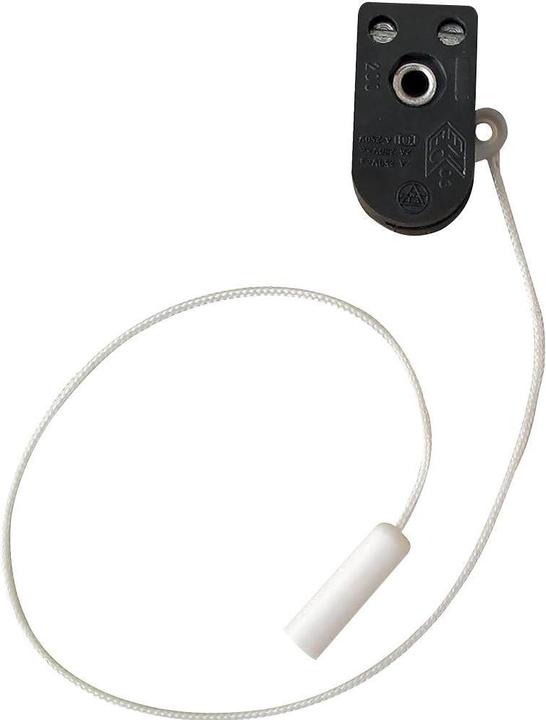 Kopp 191700084