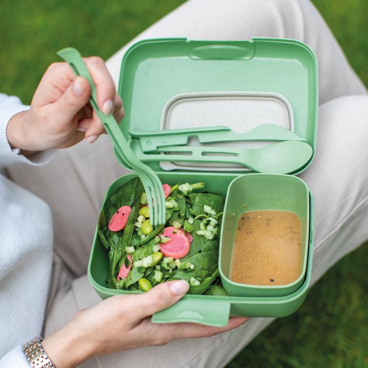 Actual product image Koziol Lunchbox Candy Set 4 pieces, Green