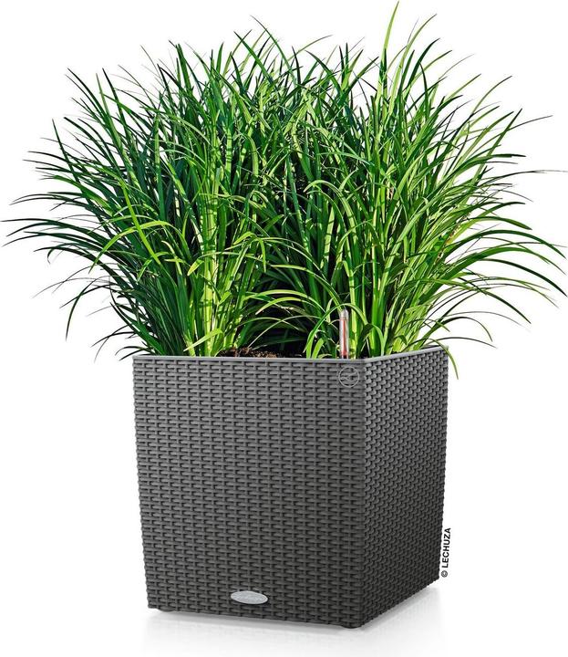 Actual product image Lechuza Cube Cottage (40 cm)