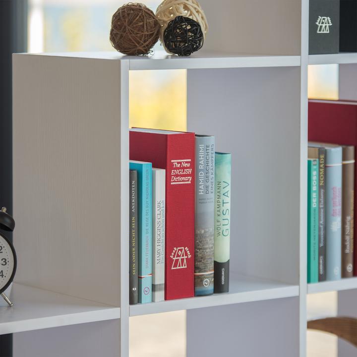 Immagine prodotto Relaxdays Dizionario sicuro dei libri