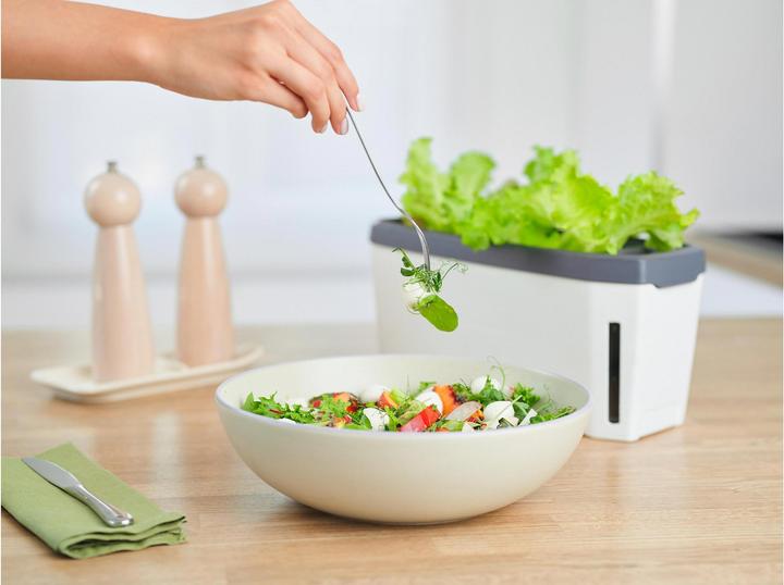 Image du produit Gusta Garden Kräutertopf HARRY HERBS mit Haube, Weiss (35.80 cm)