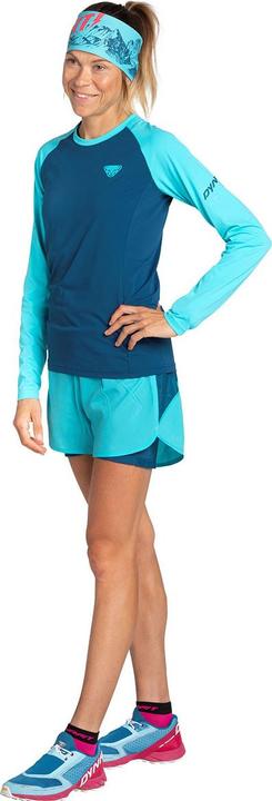 Produktbild Dynafit Alpine Pro Langarmshirt (40, L)