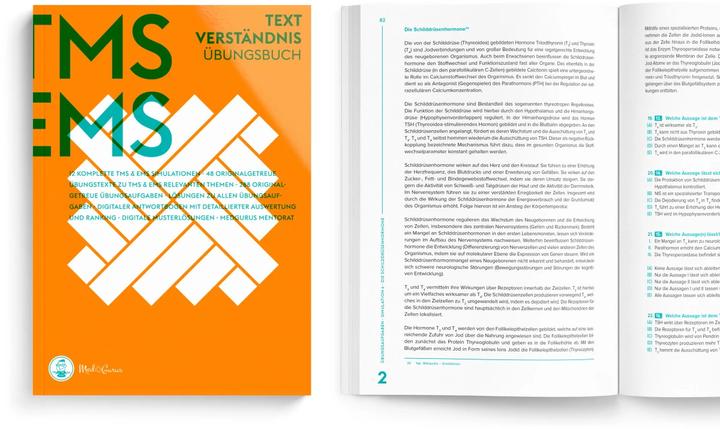 Actual product image Textverständnis im EMS und TMS Medat-H (German, Constantin Lechner, Anselm Pfeiffer, Alexander Hetzel, 2024)