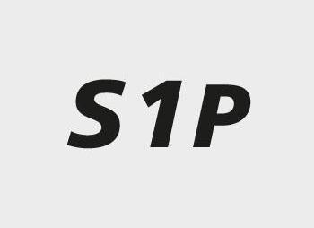 Produktbild Baak Sicherheitssandale S1P ESD René 2 (S1P, 41)