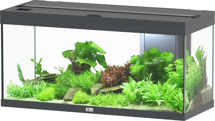 Immagine prodotto Aquatlantis Acquario Volga 180 (180 l)