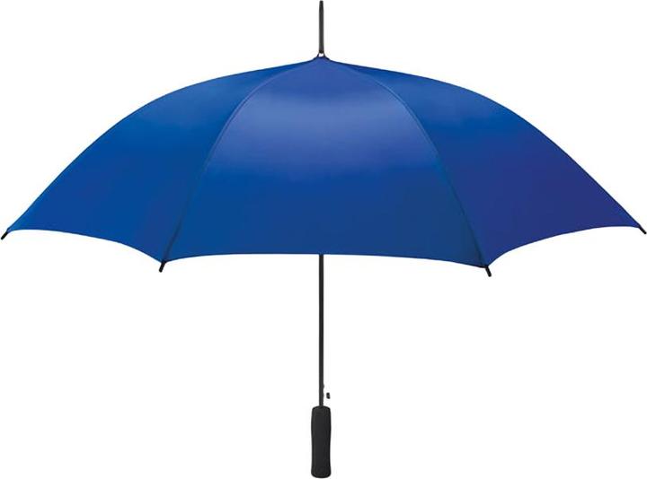 Bleu roi