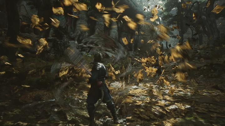 Image du produit 2K Games Black Myth: Wukong (PS5, EN)