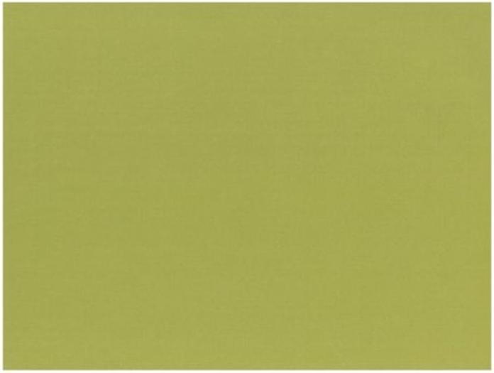 Immagine prodotto Papstar Tischsets (100 x, 30 x 40 cm)
