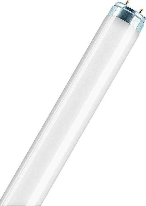 Osram Lumilux (G13, 14.90 W, 950 lm, 1 x, G)