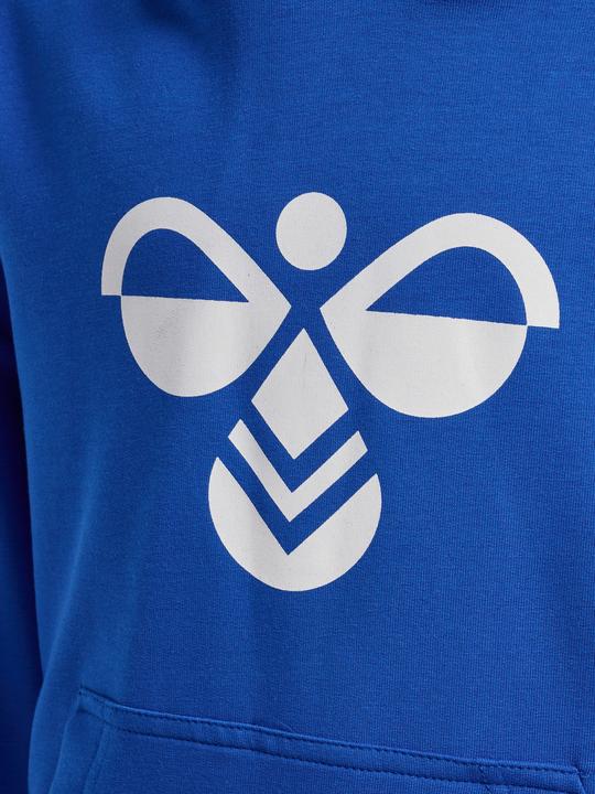 Image du produit hummel hmlCUATRO HOODIE (134)