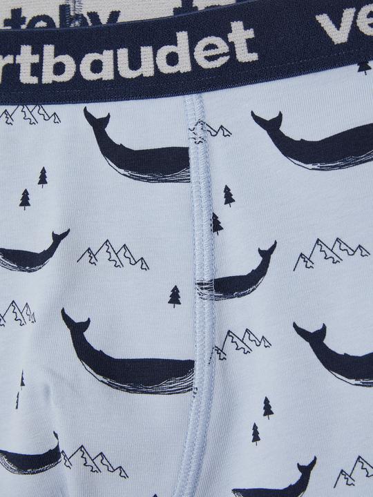 Actual product image Vertbaudet Underwear Bottom (152, 5-pack)