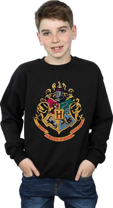 Actual product image Boys Hogwarts Crest Gold Ink Sweatshirt (128)