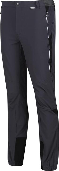 Actual product image Regatta Mens Mountain III Hiking Trousers (48 F)