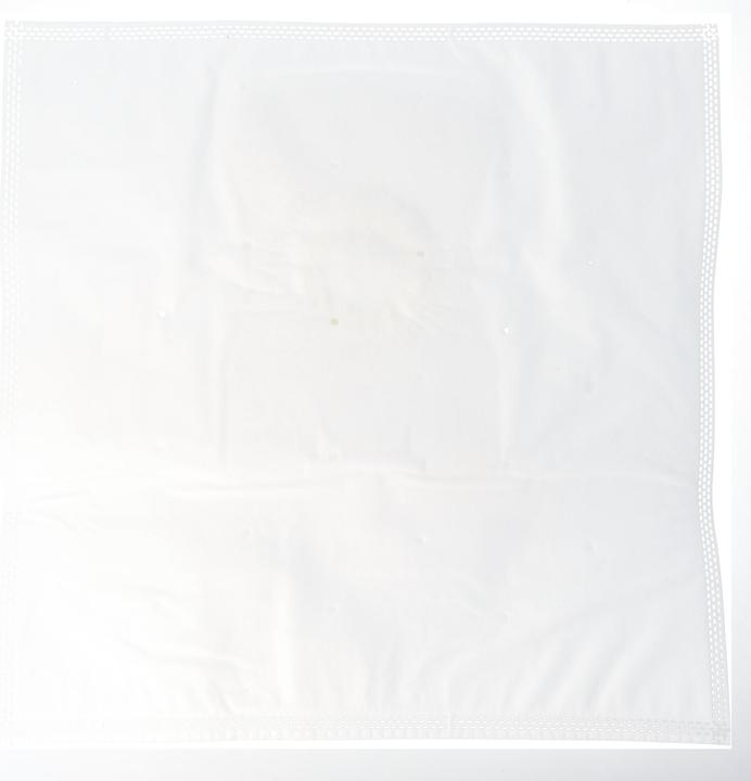 Immagine prodotto AccuCell 10 Sacchetti per aspirapolvere per aspirapolvere Vorwerk Tiger (10 x)