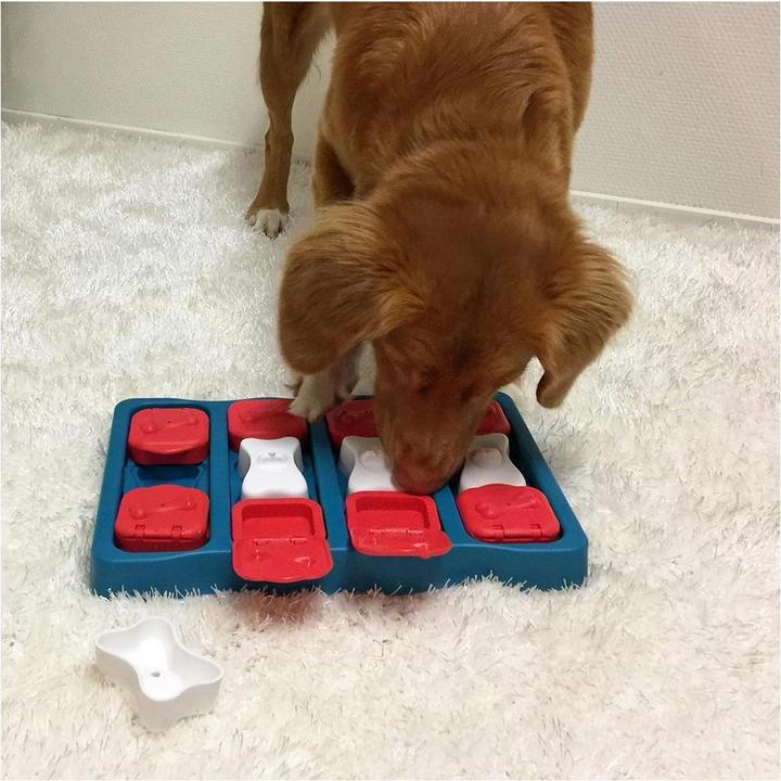 Actual product image Nina Ottosson dog brick (Intelligence toy dog)