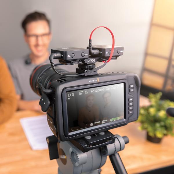 Immagine prodotto RØDE Cavo di distribuzione SC11 TRS (0.28 m)