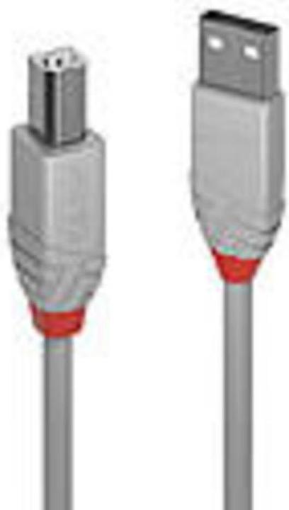 Actual product image Lindy USB/A-USB/B M-M (3 m, USB 2.0)