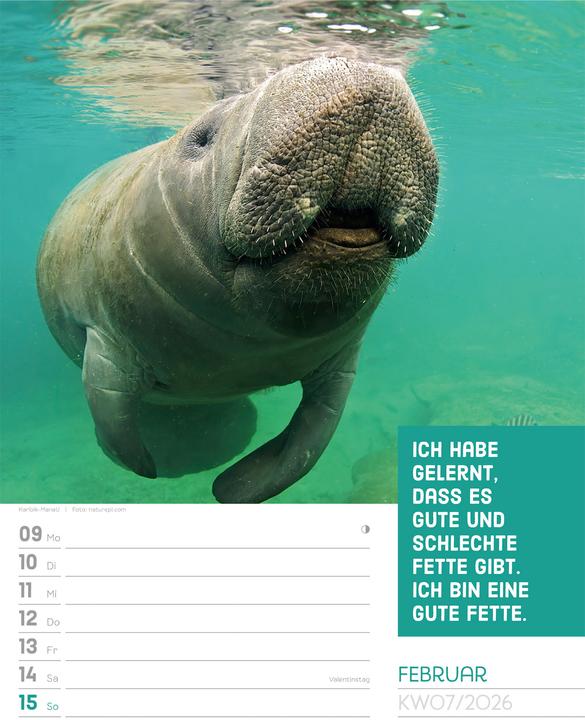 Produktbild Tierisch! Sprüchekalender - Wochenplaner Kalender 2026 (25 x 33 cm, Deutsch)
