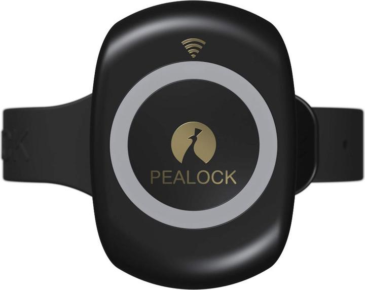 Pealock 2 - Smart lock with GPS and SIM black