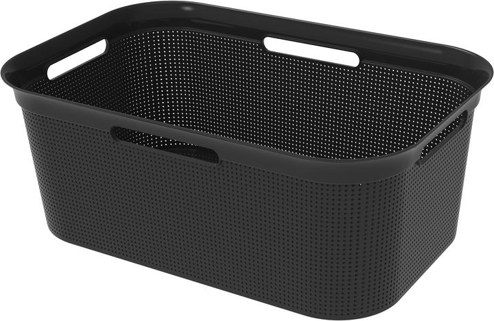 Actual product image Rotho Breezes (41 l)