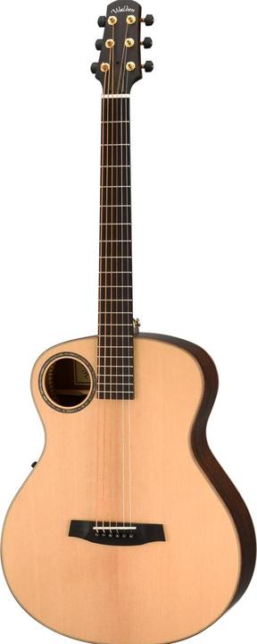 Immagine prodotto Walden B1E Baritone Westerngitarre (Chitarra occidentale, Palissandro, Peccio, Alluminio, Osso)