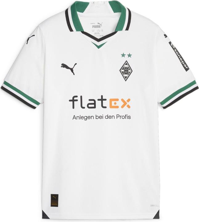 Puma Blanc, Vert énergétique