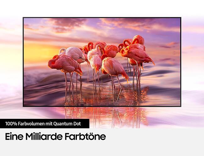 Produktbild Samsung QE43Q60T (43", QLED, 4K, 2020)